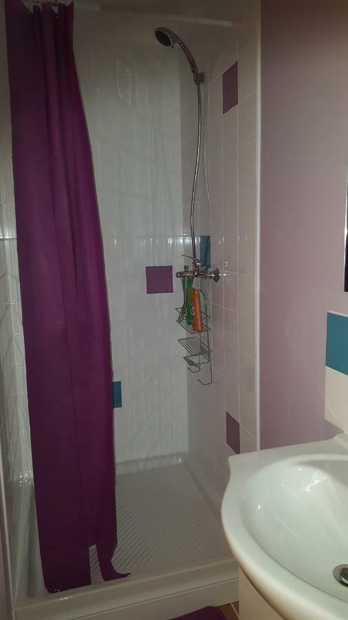 Ferienwohnung 74 Rue Pasteur Lavelanet Exterior foto